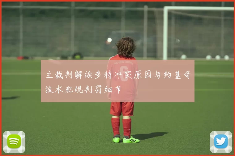 主裁判解读多特冲突原因与约基奇技术犯规判罚细节